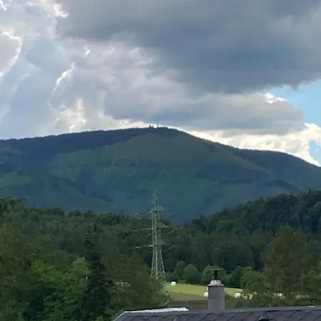 Kuncice