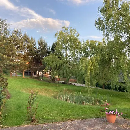 Kuncice *