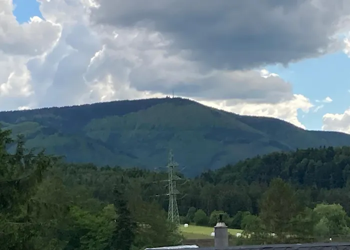 Kuncice